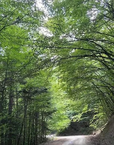 το αρχοντικό της βέτας στον όλυμπο! Kokkinopilos