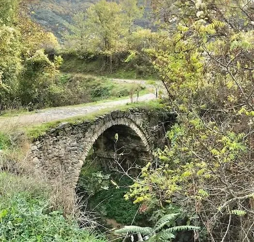 το αρχοντικό της βέτας στον όλυμπο! Ferienhaus